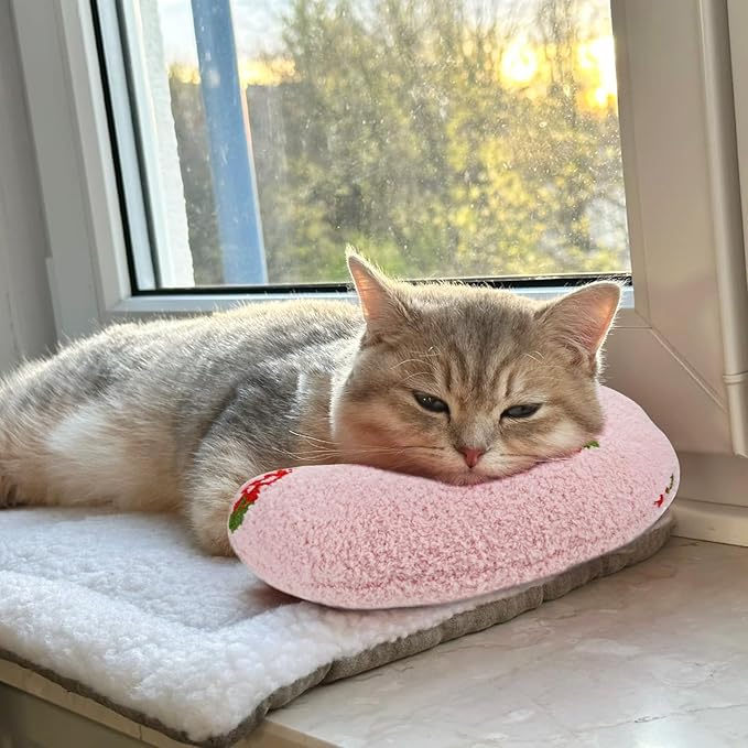 Katzenkissen - für beste entspannung