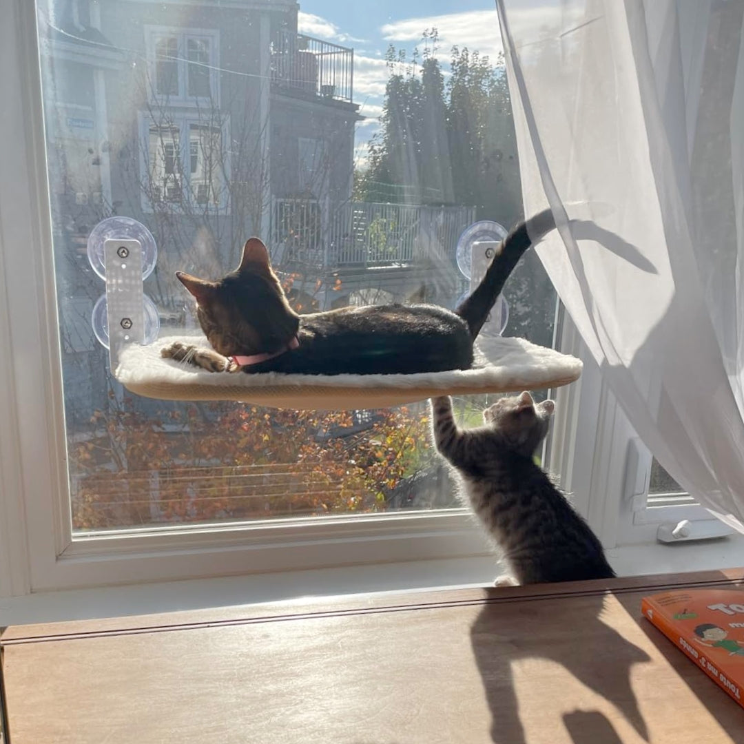 Naptule - Katzen Hängematte