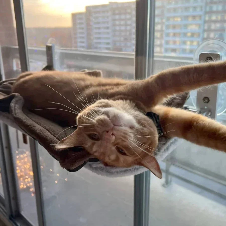 Naptule - Katzen Hängematte