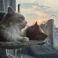 Naptule - Katzen Hängematte