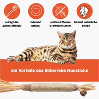 Dentipurr - Silberrebe Kaustock