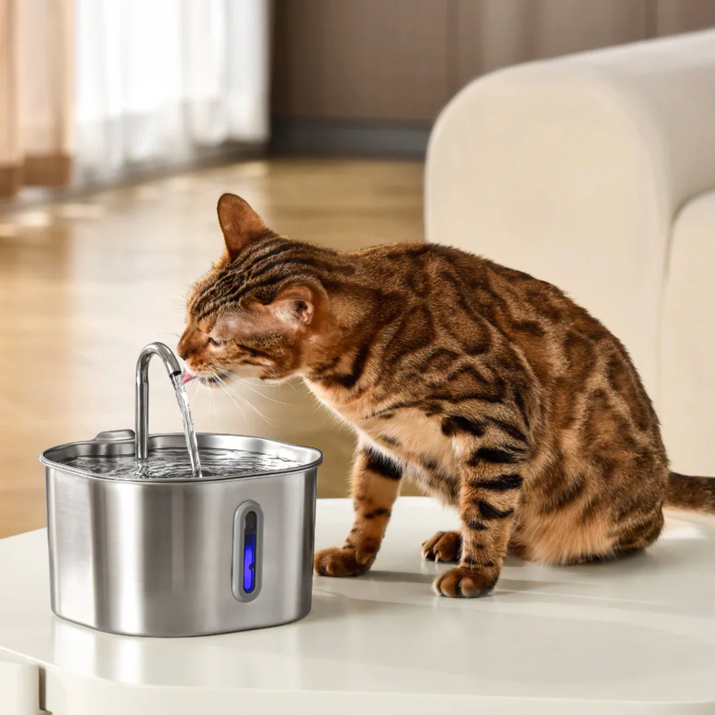 Miauquell - nr. 1 Katzen Trinkbrunnen