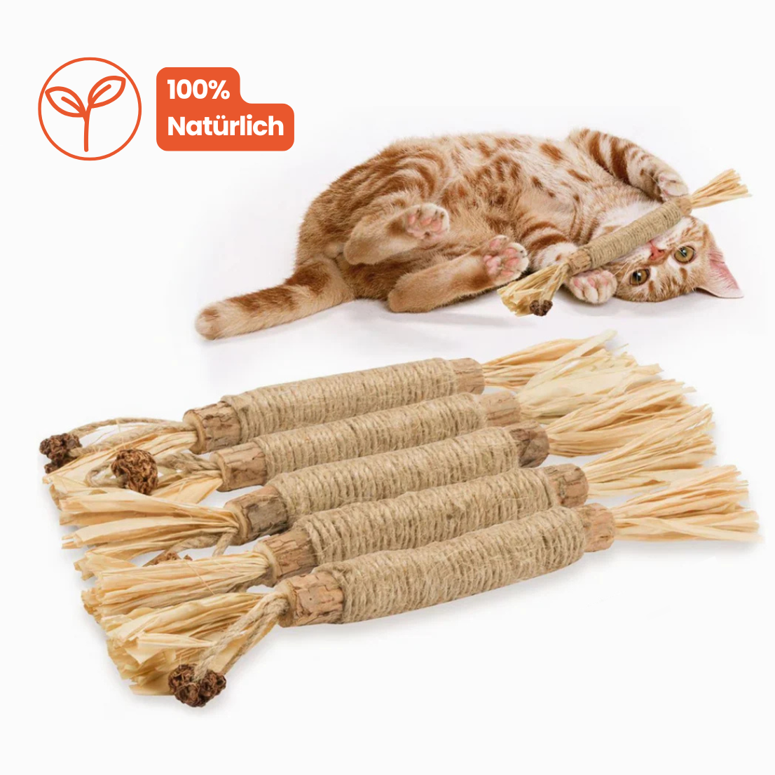 Dentipurr - natürliche Zahnpflegehilfe