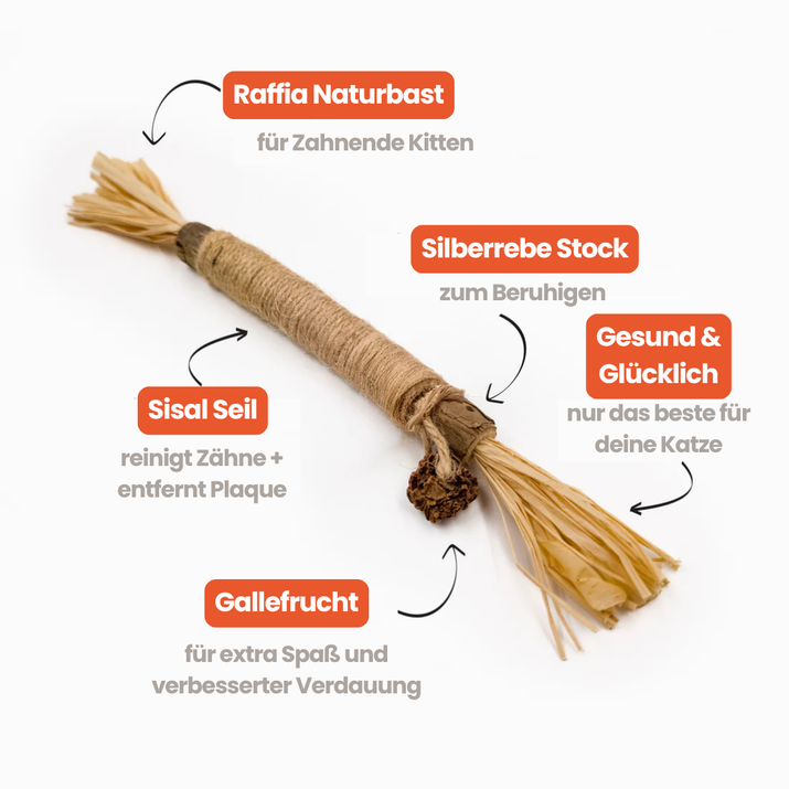 Dentipurr - Silberrebe Kaustock