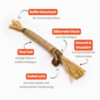 Dentipurr - Silberrebe Kaustock