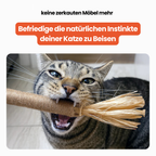Dentipurr - natürliche Zahnpflegehilfe