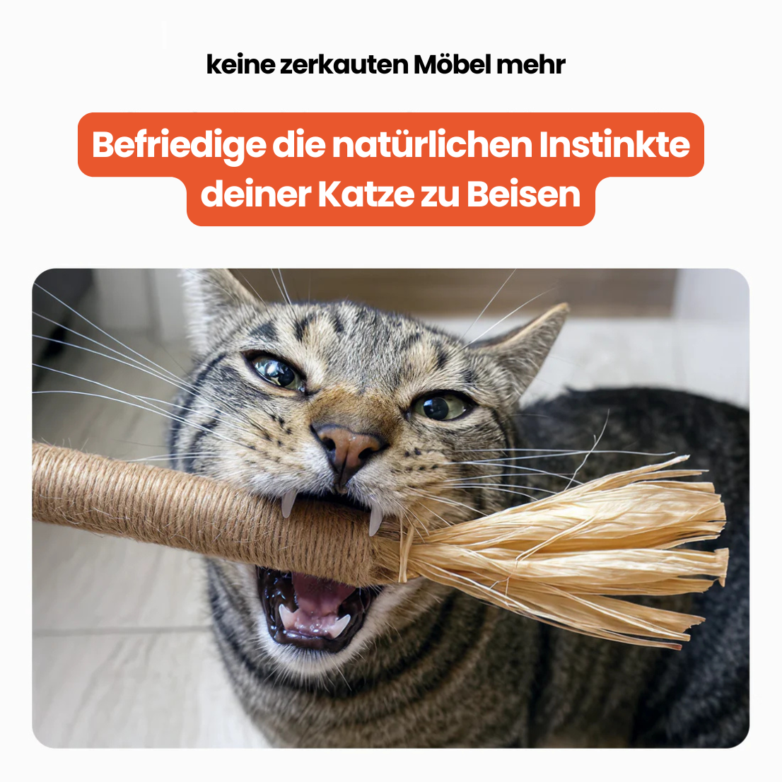 Dentipurr - Silberrebe Kaustock