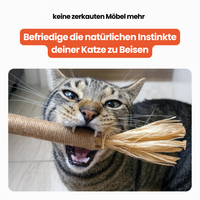 Dentipurr - Silberrebe Kaustock