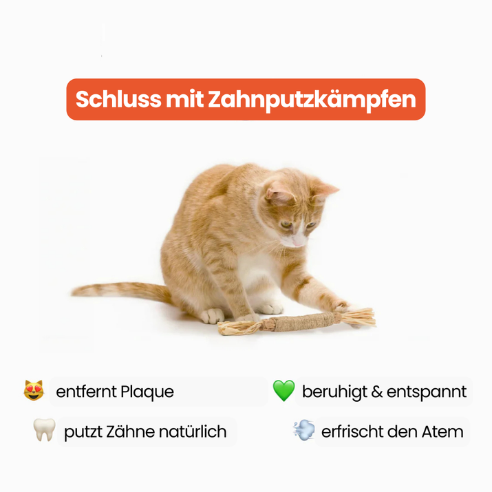 Dentipurr - Silberrebe Kaustock