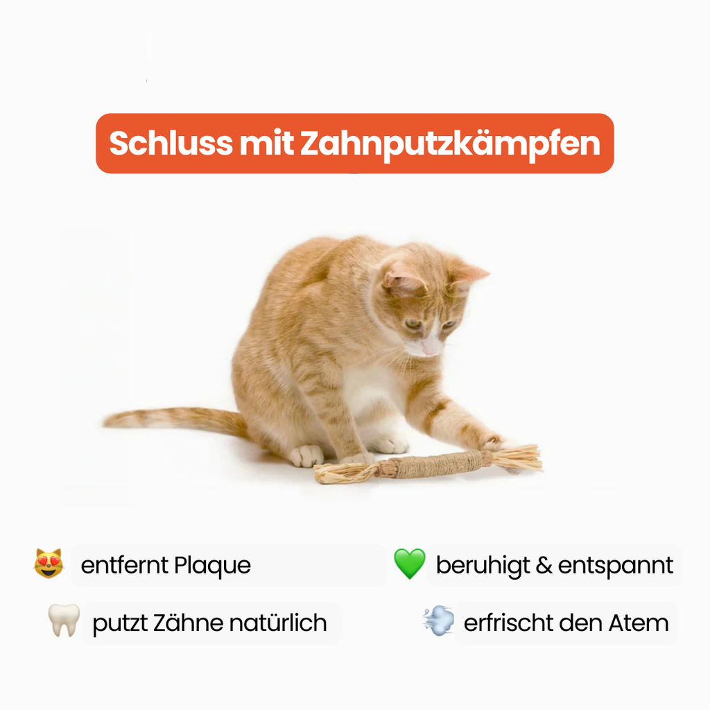 Dentipurr - natürliche Zahnpflegehilfe