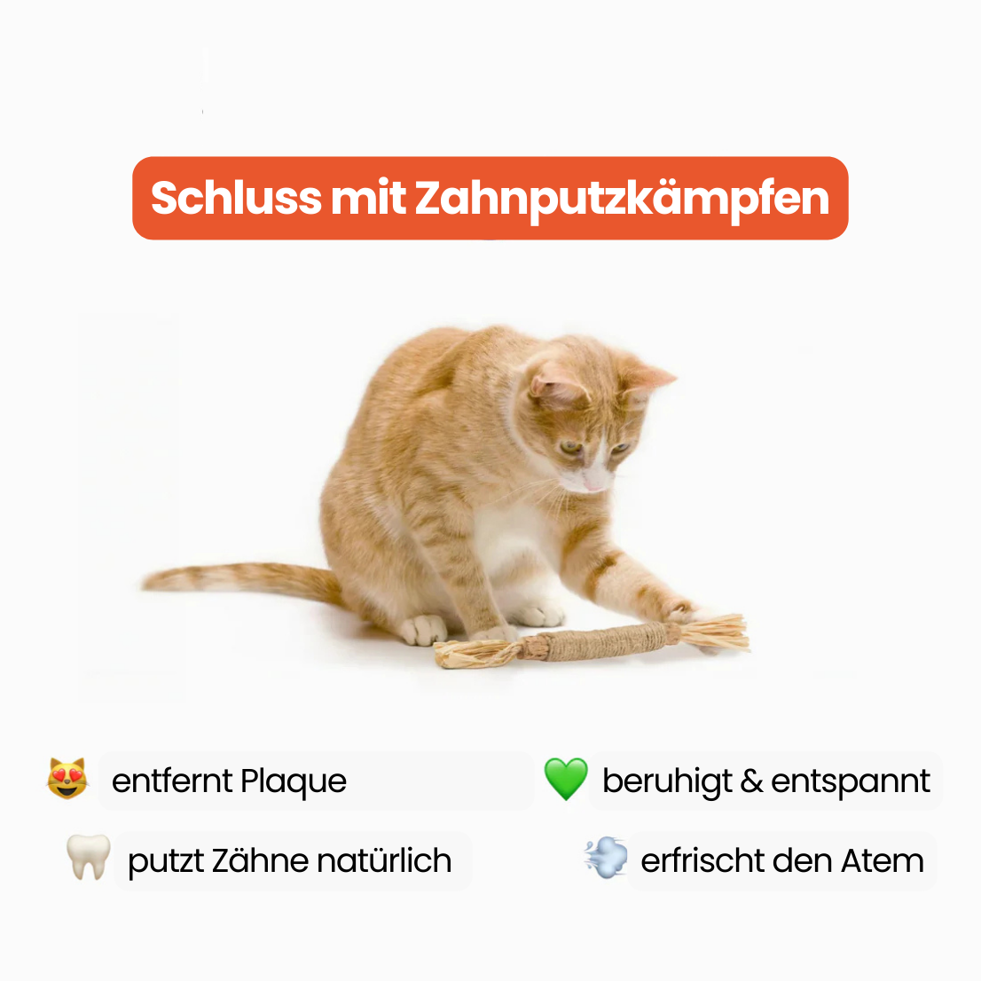 Dentipurr - Silberrebe Kaustock