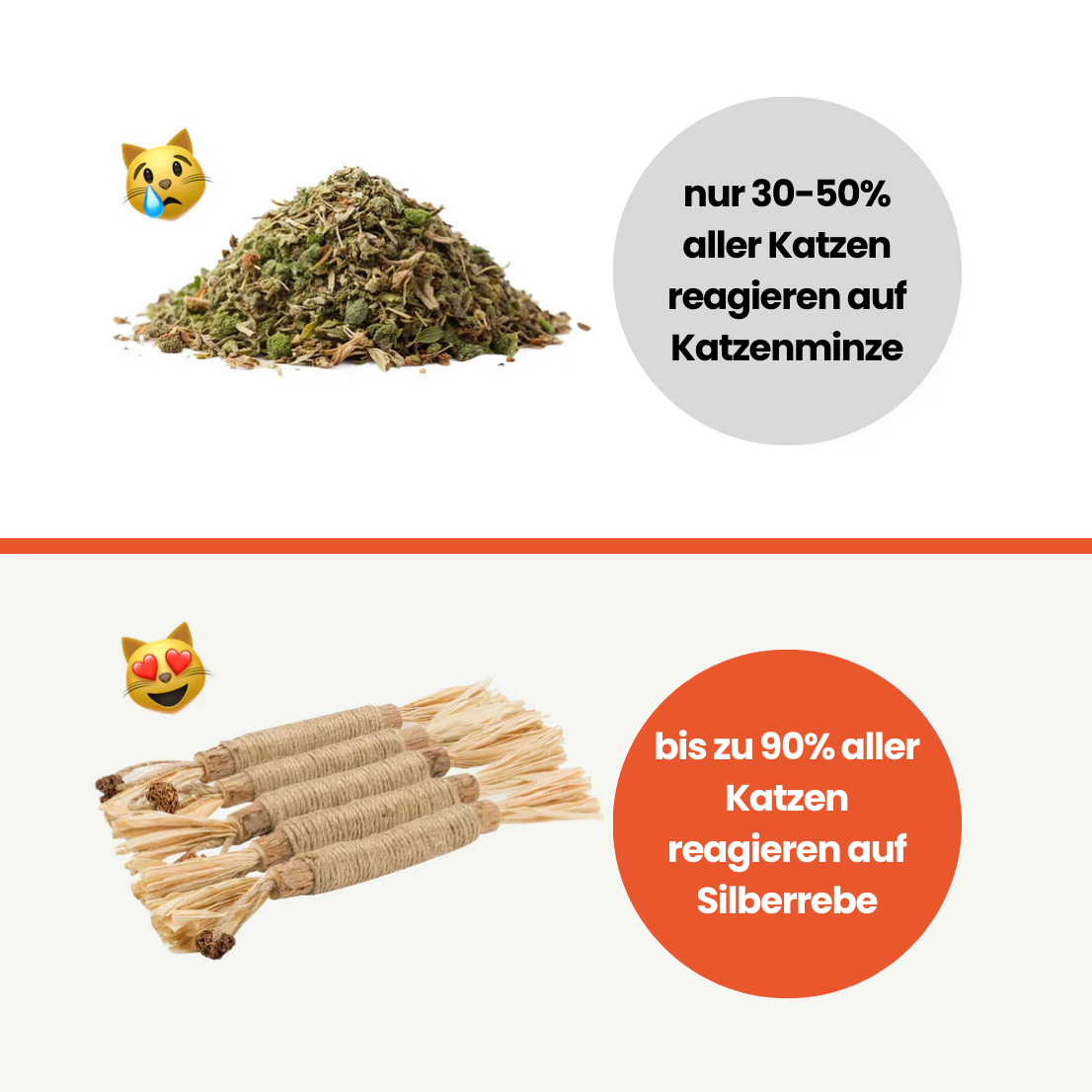 Dentipurr - Silberrebe Kaustock