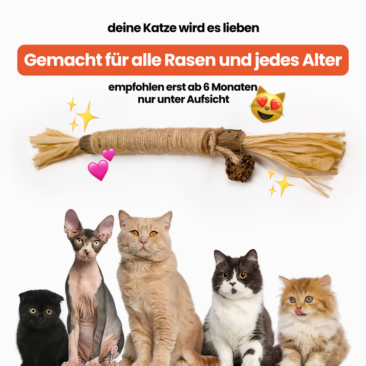 Dentipurr - Silberrebe Kaustock