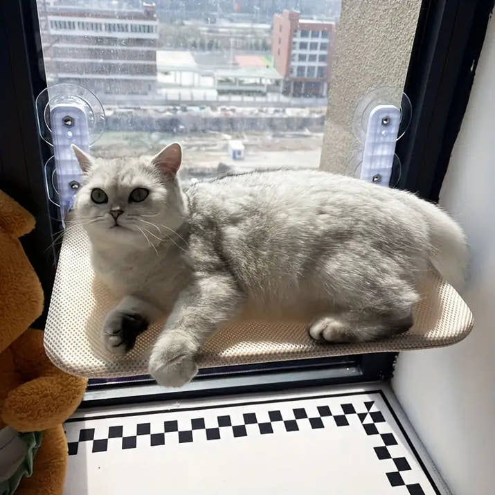 Naptule - Katzen Hängematte