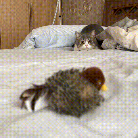 FlappyBird - die Lösung für ausgelassene Katzen