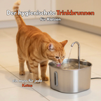 Miauquell - nr. 1 Katzen Trinkbrunnen