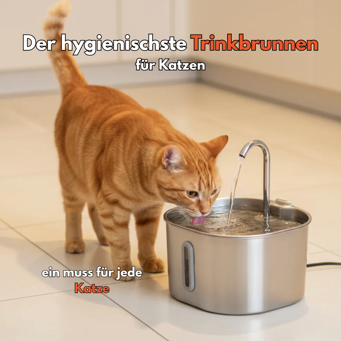 Miauquell - nr. 1 Katzen Trinkbrunnen