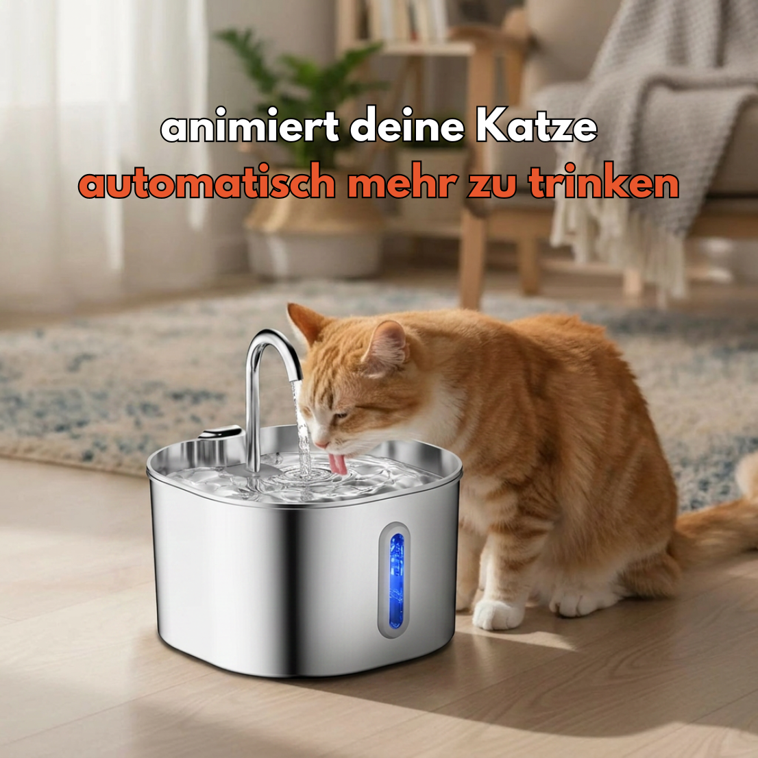 Miauquell - nr. 1 Katzen Trinkbrunnen
