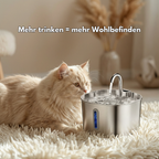 Miauquell - nr. 1 Katzen Trinkbrunnen