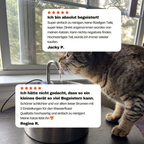 Miauquell - nr. 1 Katzen Trinkbrunnen