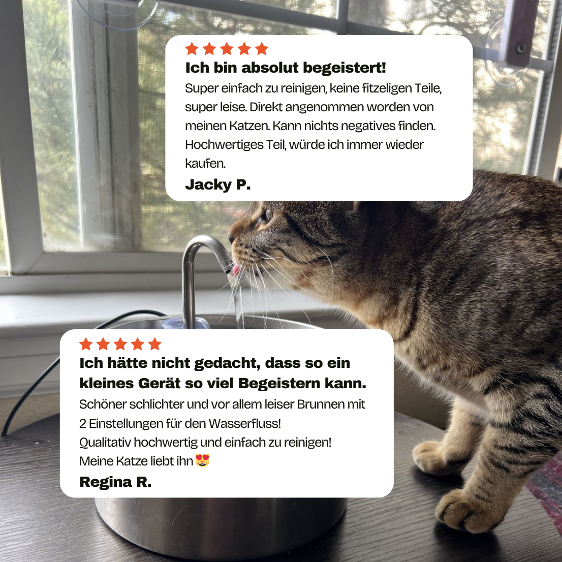 Miauquell - nr. 1 Katzen Trinkbrunnen