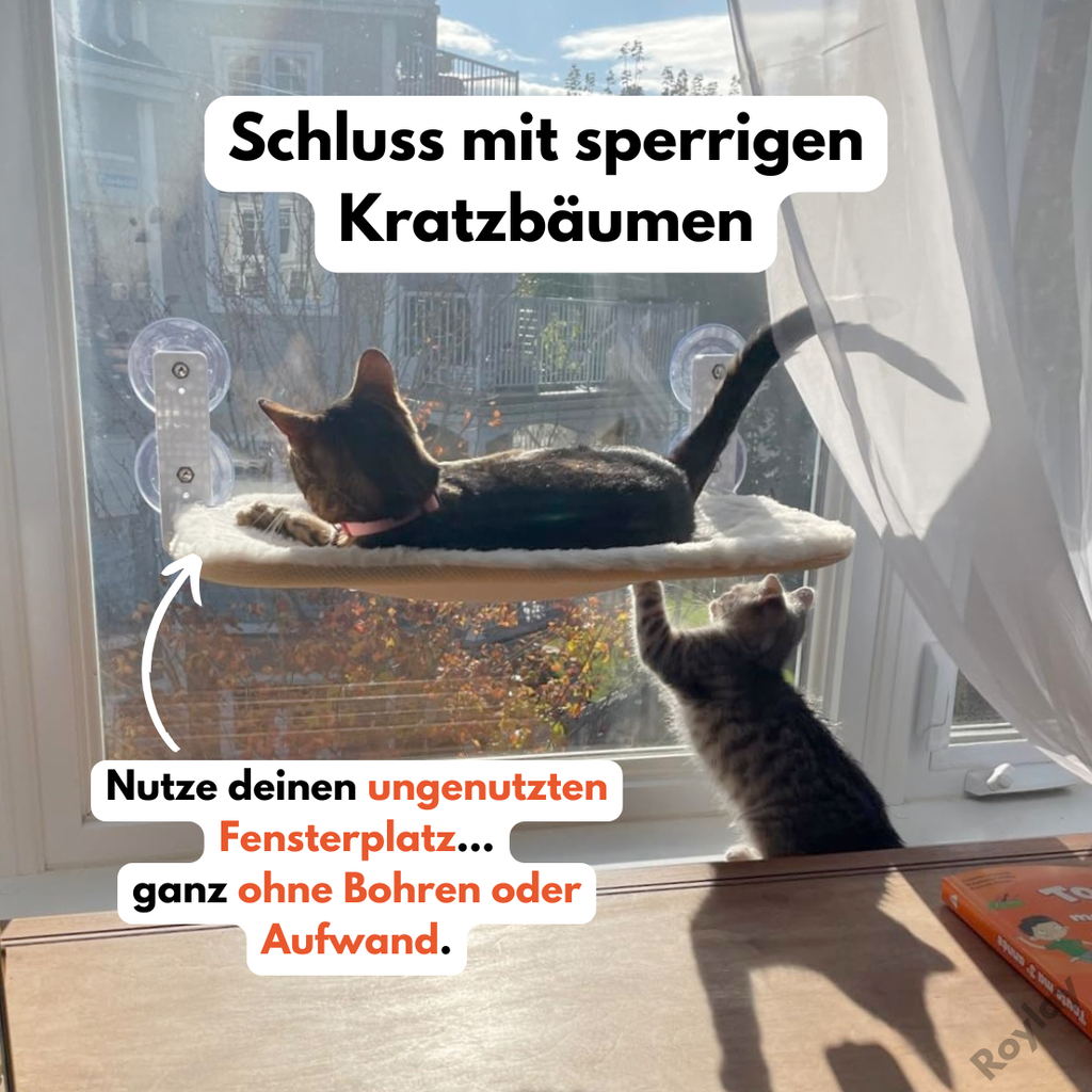 Naptule - nr. 1 Katzen Hängematte