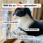 Naptule - nr. 1 Katzen Hängematte