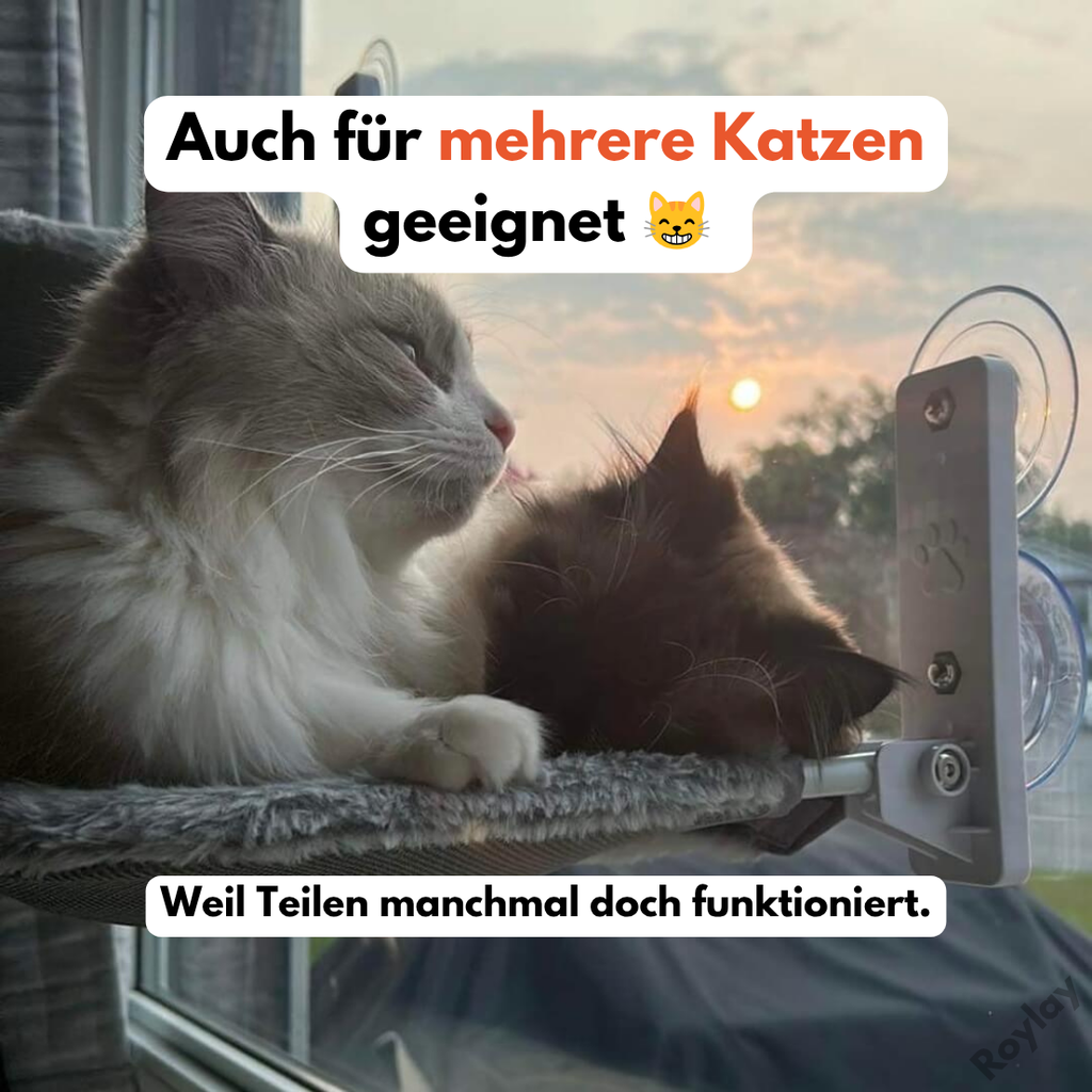 Naptule - nr. 1 Katzen Hängematte