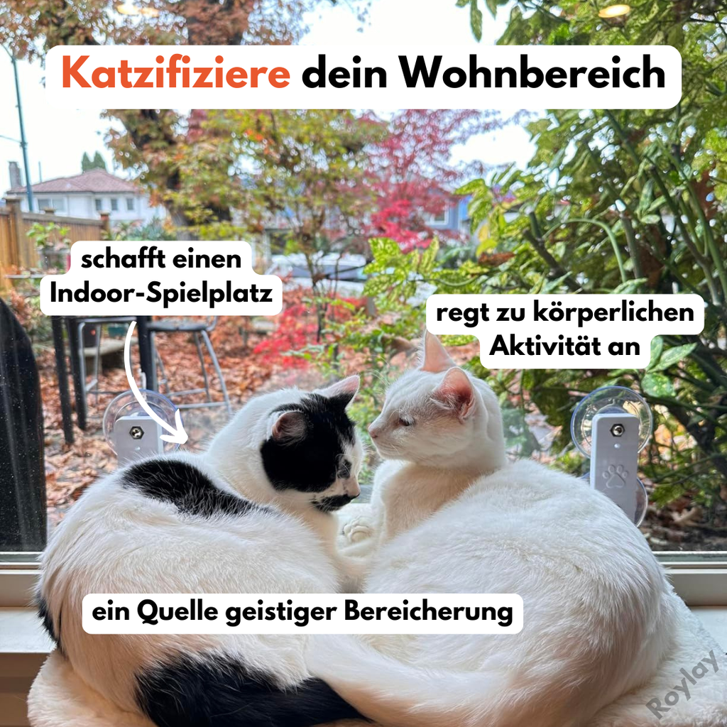 Naptule - nr. 1 Katzen Hängematte