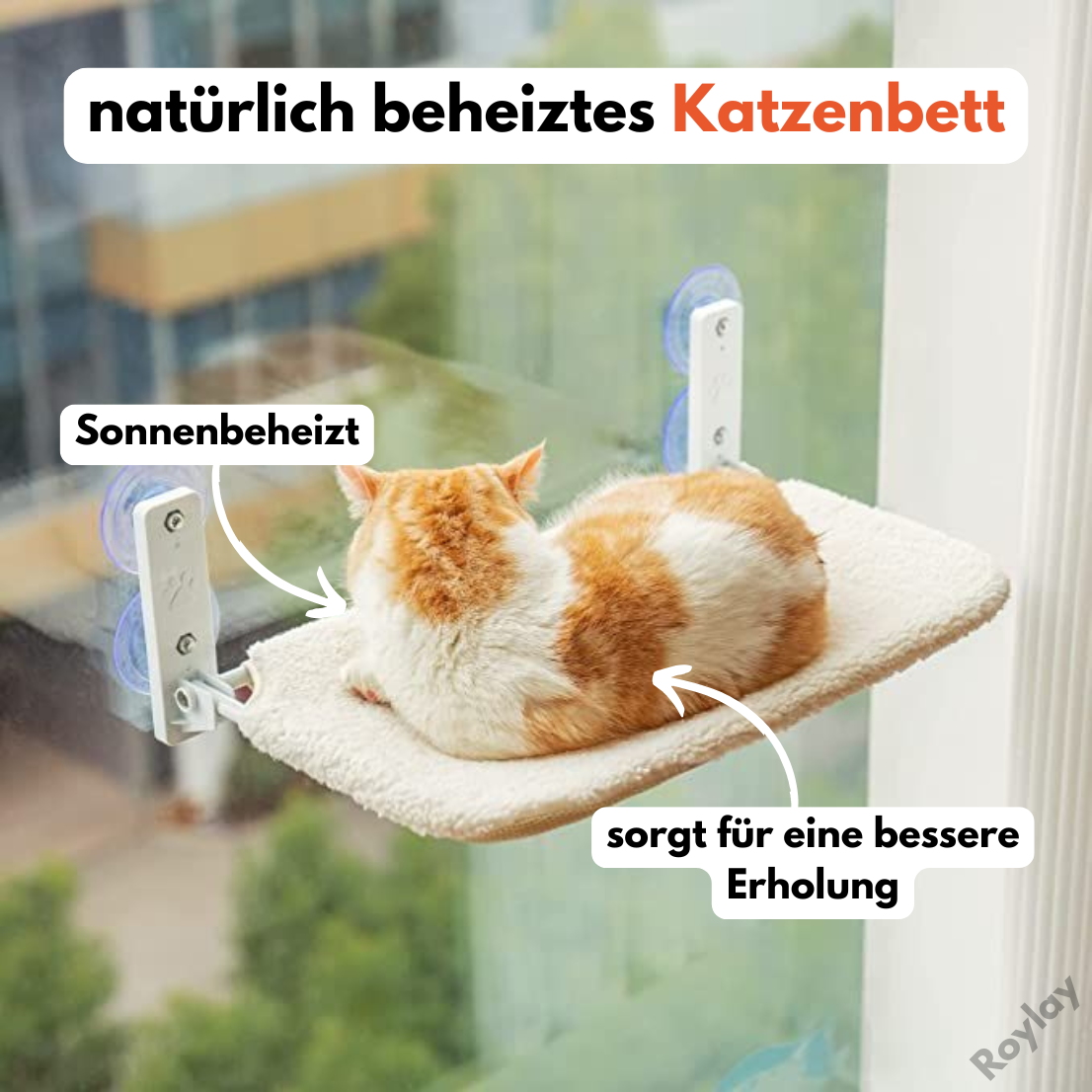 Naptule - nr. 1 Katzen Hängematte