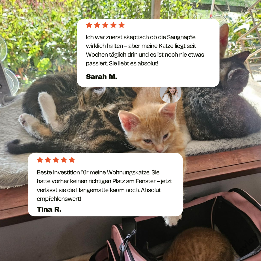 Naptule - nr. 1 Katzen Hängematte