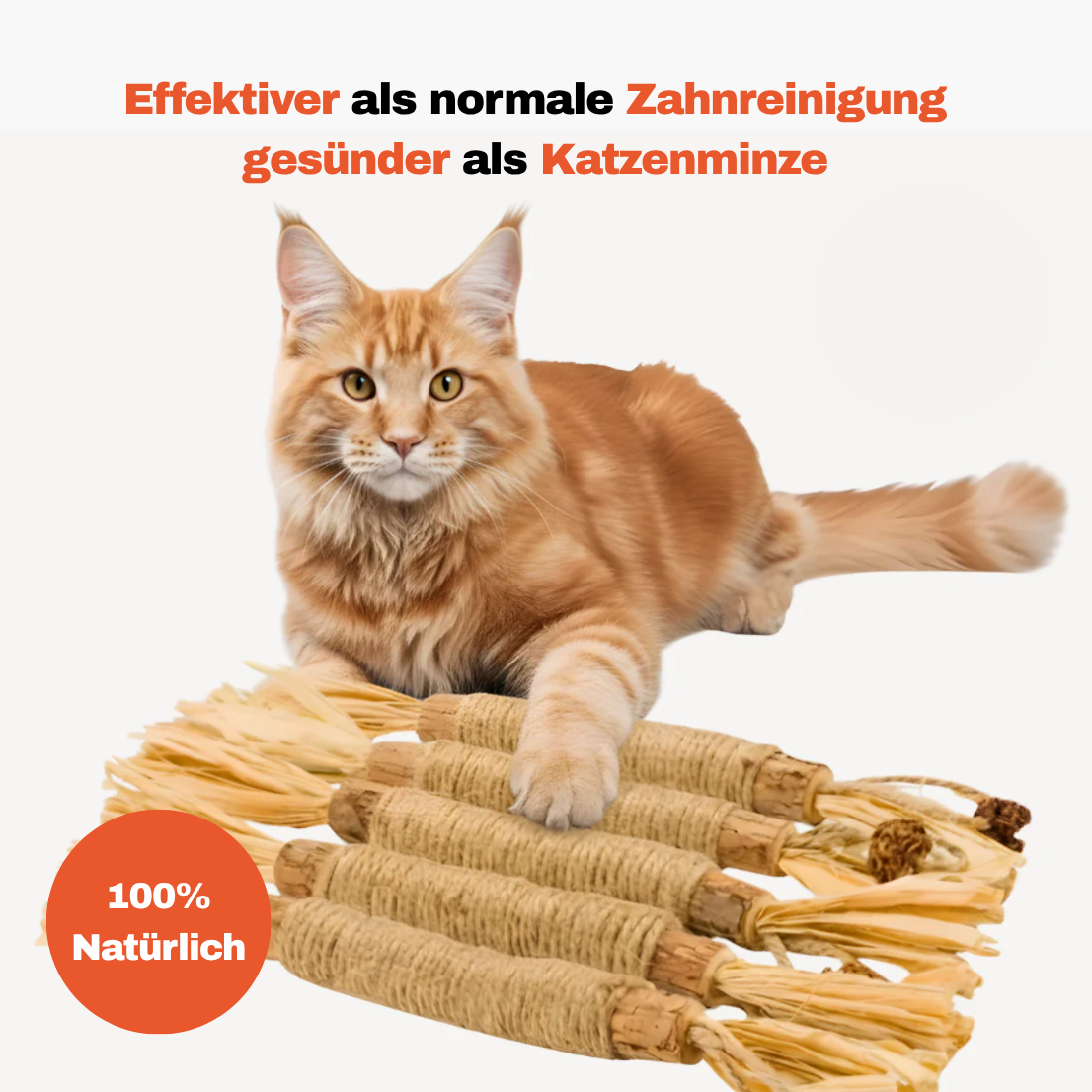 Dentipurr - Silberrebe Kaustock