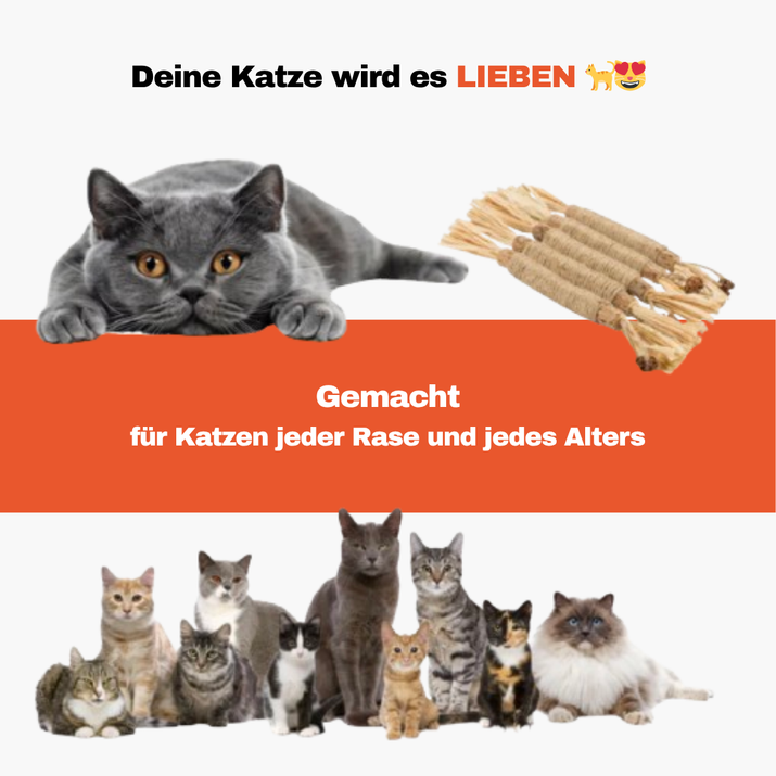 Dentipurr - Silberrebe Kaustock