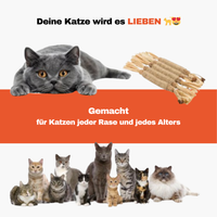 Dentipurr - Silberrebe Kaustock