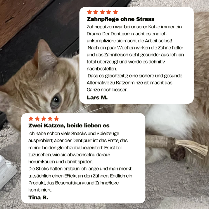 Dentipurr - Silberrebe Kaustock